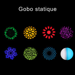 J.Collyns LYRE SPOT 100W PRIMUS - XL Sono