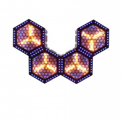 J.Collyns PAR 2BEE - XL Sono